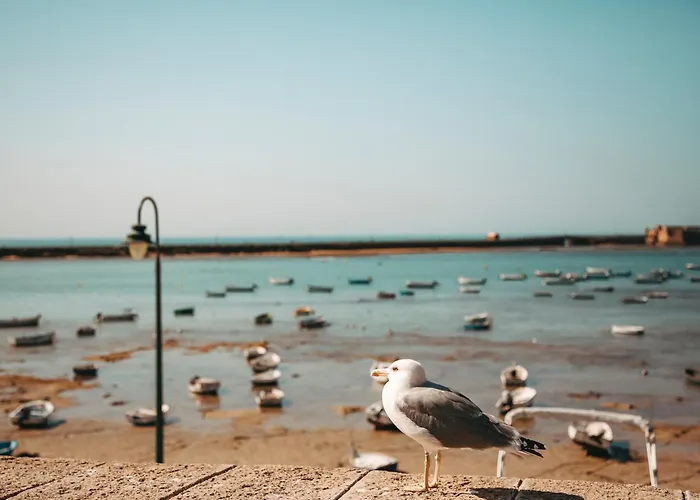 Hidden Gem Loft By Apartmentsincadiz Lägenhet *